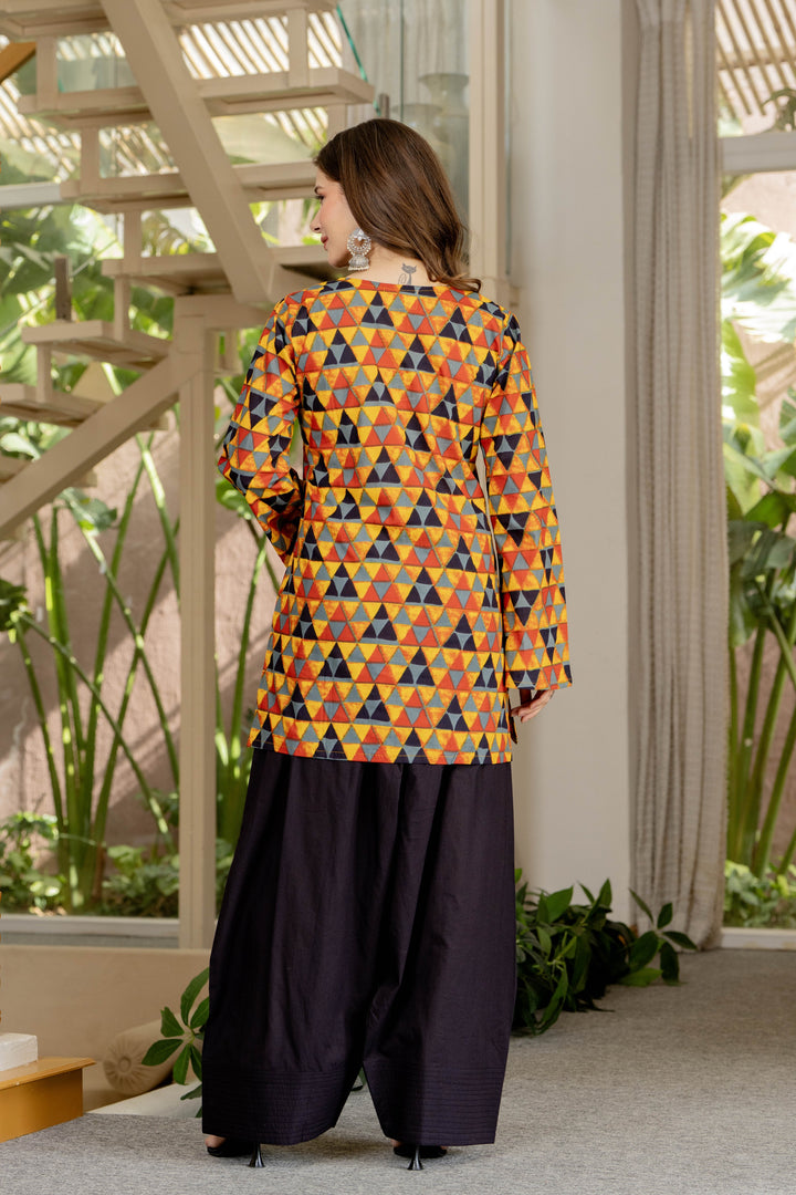 Trisha Multicolor Farshi Set