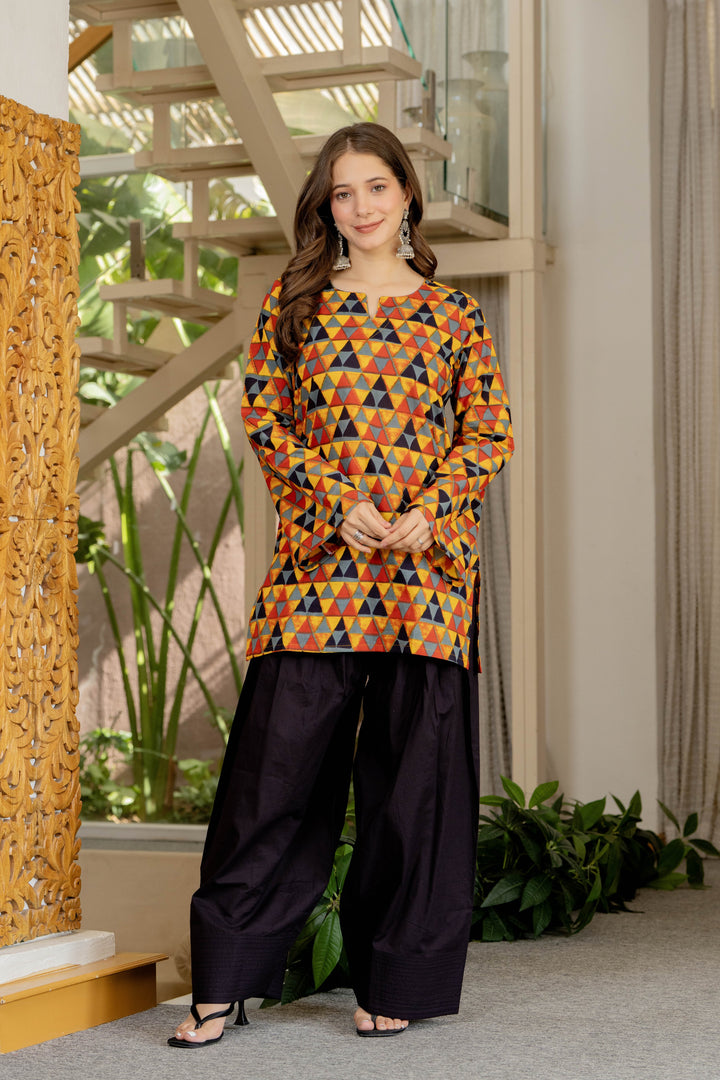 Trisha Multicolor Farshi Set