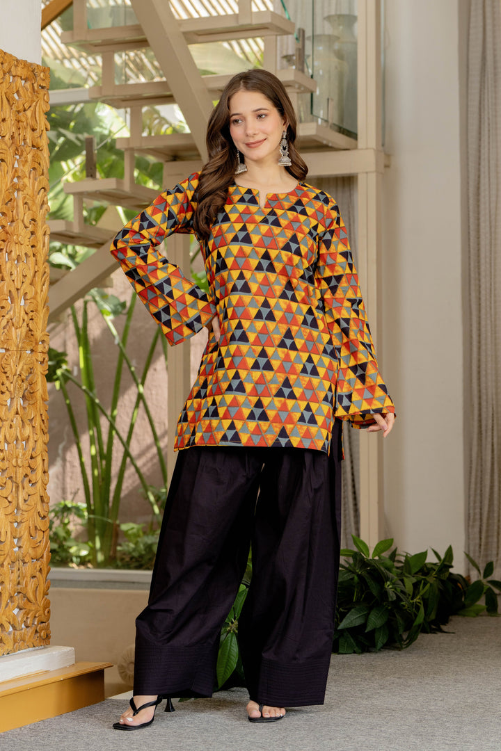 Trisha Multicolor Farshi Set