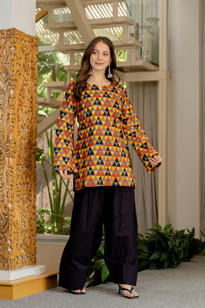 Trisha Multicolor Farshi Set