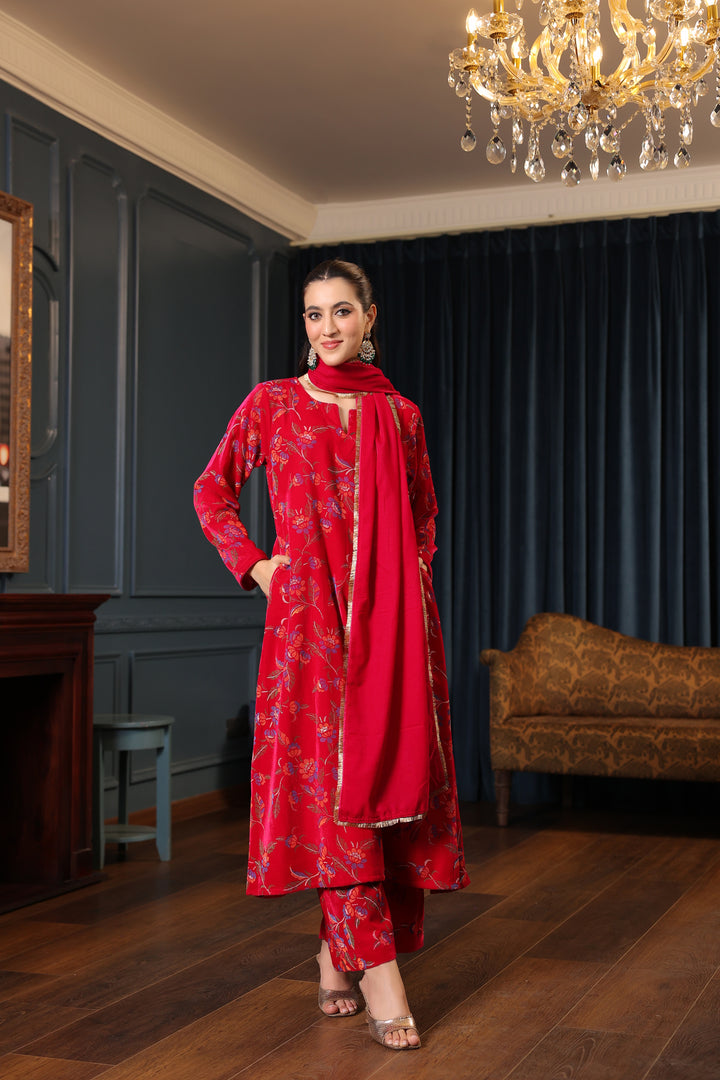 Rani Printed Velvet A-line Suit Set