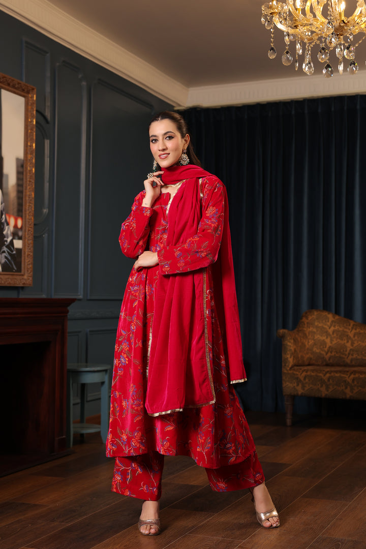 Rani Printed Velvet A-line Suit Set